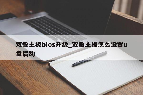 双敏主板bios升级_双敏主板怎么设置u盘启动