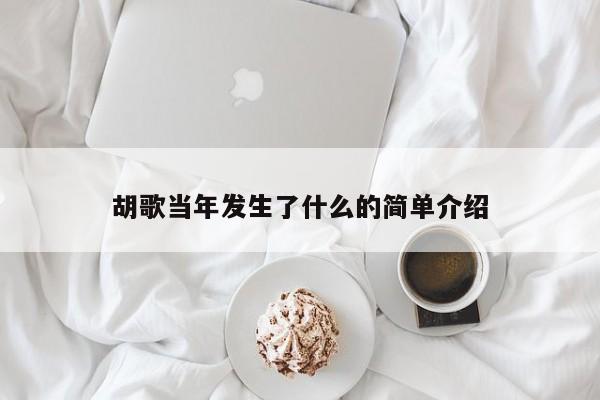 胡歌当年发生了什么的简单介绍