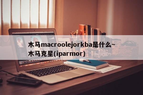 木马macroolejorkba是什么~木马克星(iparmor)